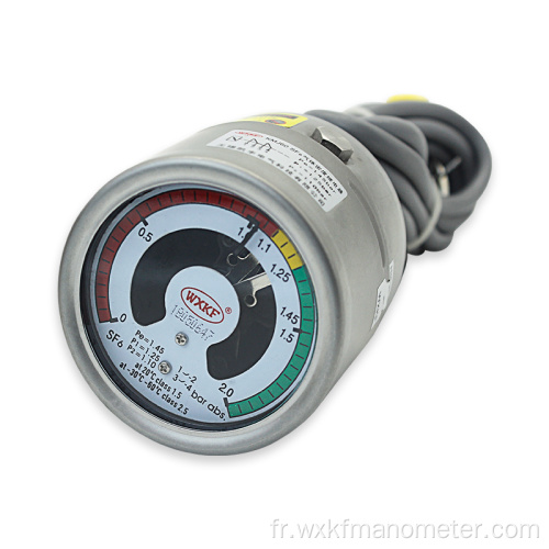 IP 65 Impact Resistance Density Density Gauge Monitor SF6 Gas Analyzer pour la détermination de l&#39;hydrogène